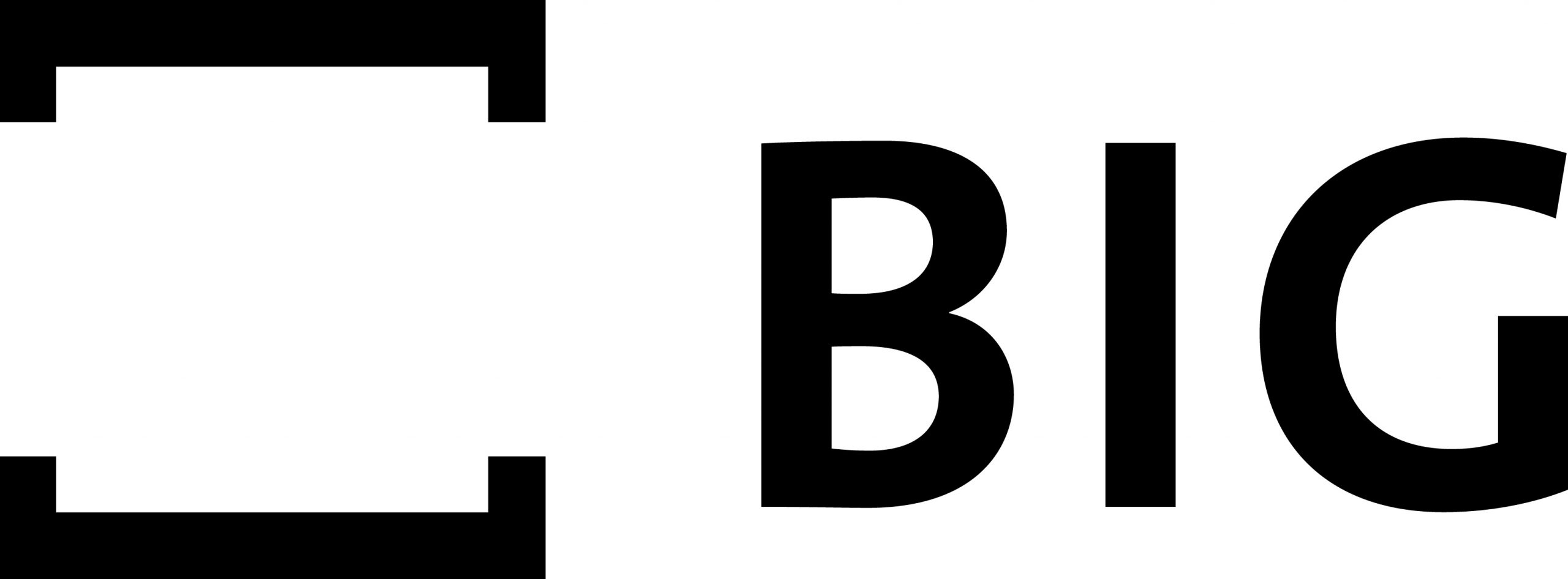 BIG_Logo_Sprungkraft_Consulting_Image