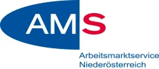 ams noe